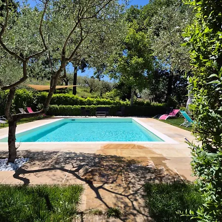 Bigio Assisi